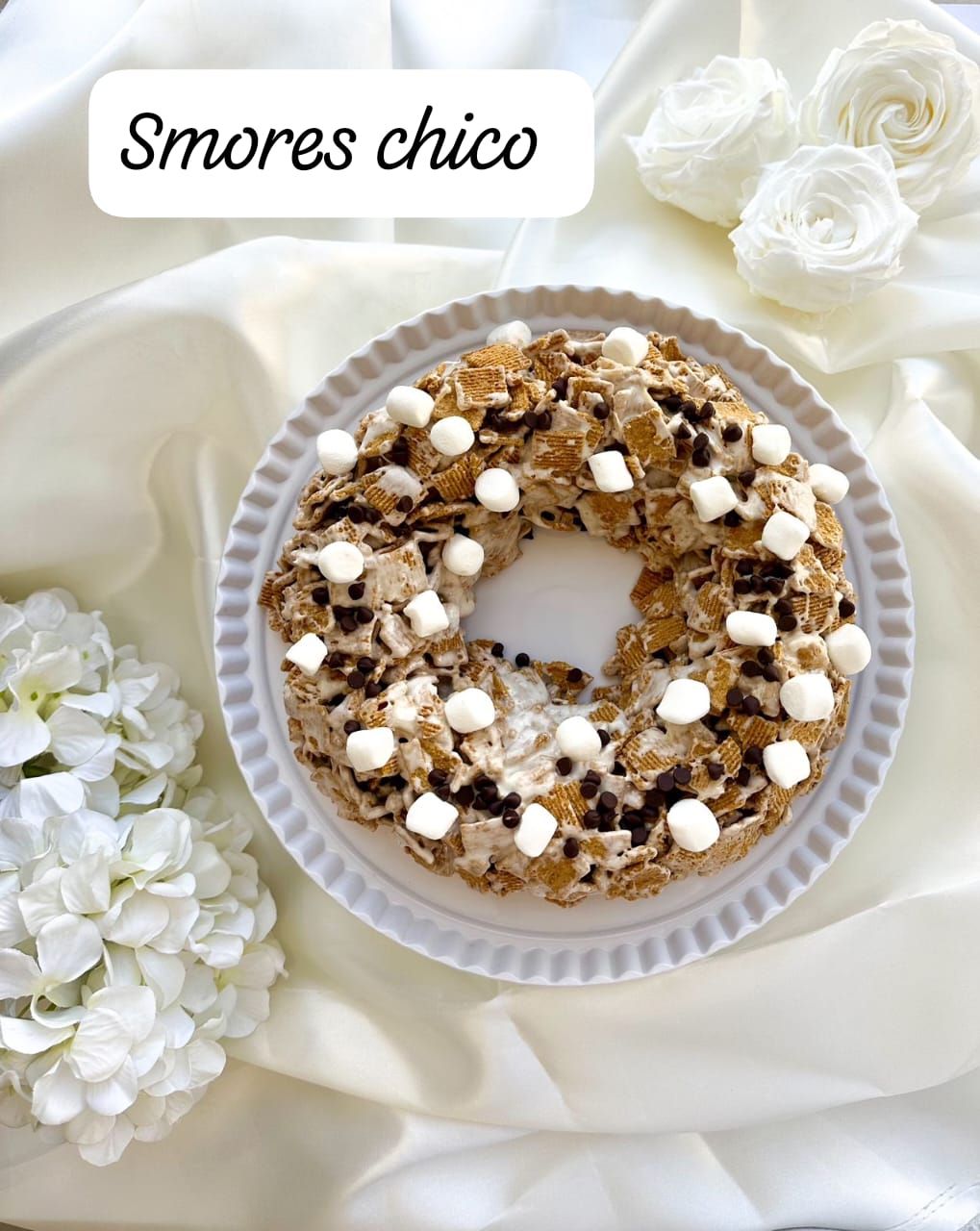 Pastel de SMORES (Chico) | Just a Slice | Kosher Parve